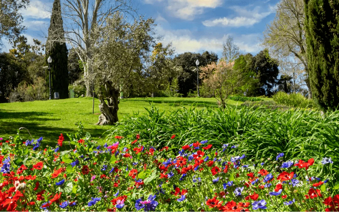 Maçonnerie paysagère à Besançon : embellissez votre jardin avec votre paysagiste professionnel